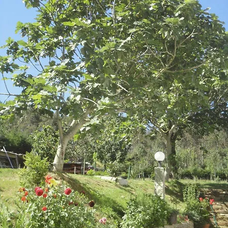 Casa di campagna Pomar Ribadeo
